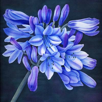 Silk Painting Agapanthus