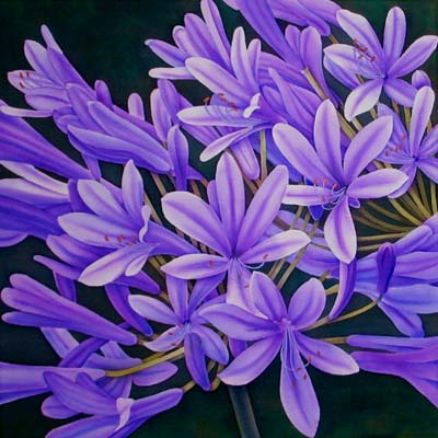 Silk Painting Agapanthus