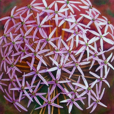 Silk Painting Allium Cristophii