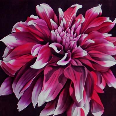 Silk Painting Biddulph Dahlia