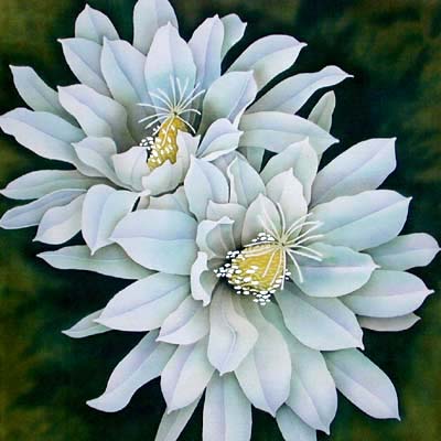 Silk Painting Cereus Cactus