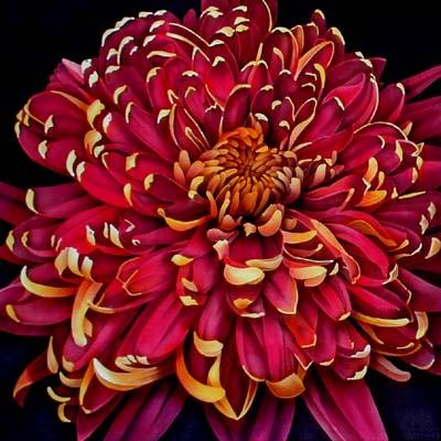 Silk Painting Chrysanthemum