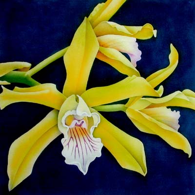 Silk Painting Cymbidium Orchid