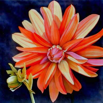 Silk Painting Dahlia Harlequin