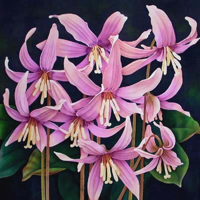 Silk Painting Dog's Tooth Violets