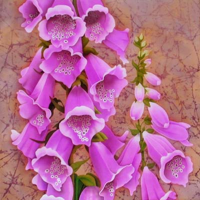 Silk Painting Foxgloves