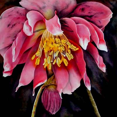Silk Painting Hellebore