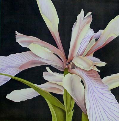Silk Painting Iris Foetidissima
