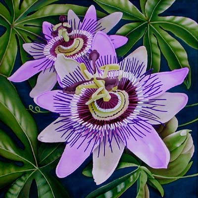 Silk Painting Passion Flower