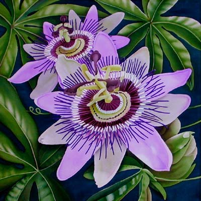 Silk Painting Passion Flower