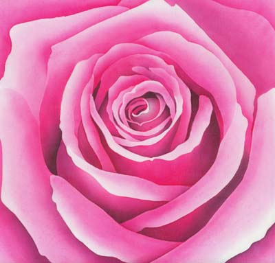 Silk Painting Pink Rose