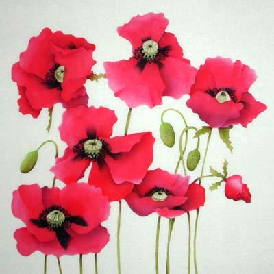 Silk Painting Poppies