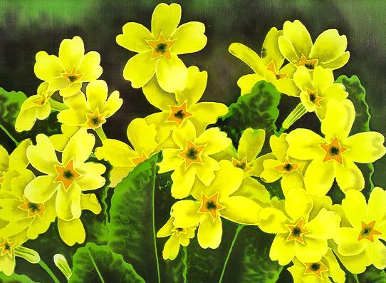 Silk Painting Spring Primroses