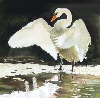 Silk Painting Mute Swan Displaying