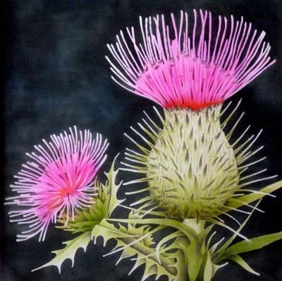 Silk Painting Scottish Thistle