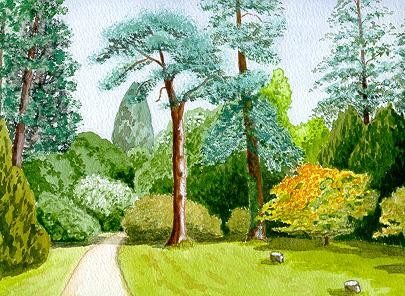 Watercolour Westonbirt Arboretum Gloucestershire