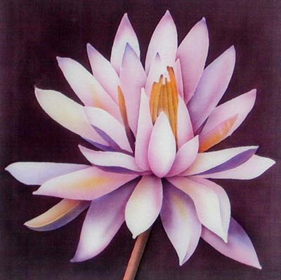 Silk Painting Water Lily